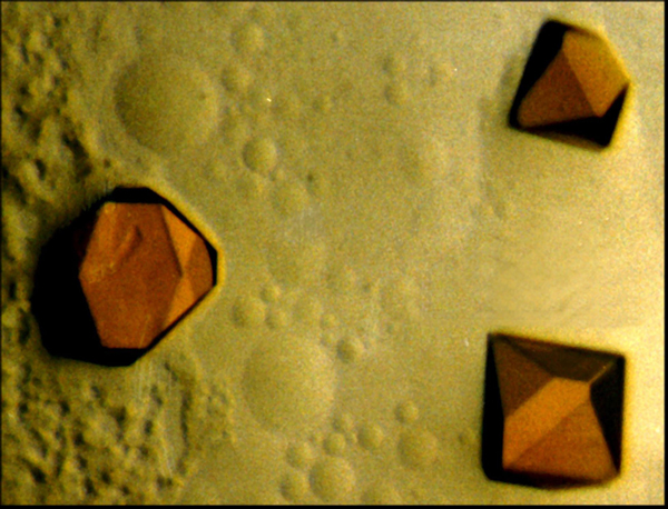 Protein crystals
