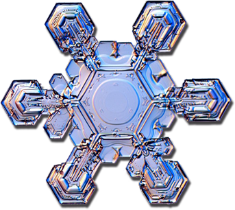Copo de nieve