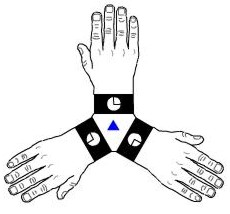 eje ternario