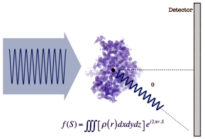 If we place a detector such as a photographic plate ...