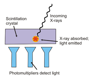 Scheme of a scintillation counter