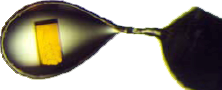 Loop containing a single crystal on its cryo-protectant solution Loop containing a single crystal on its cryo-protectant solution
