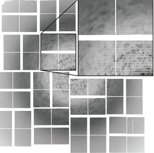 Continuous diffraction and coherent diffraction (Bragg)