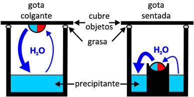 Esquema gotas sentada o colgada