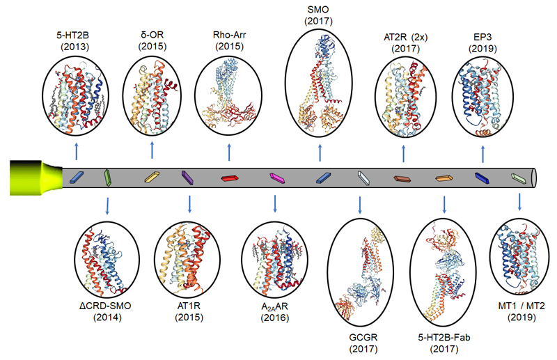 GPCRs structures
