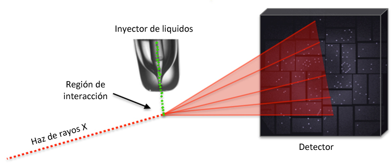 experimental setup