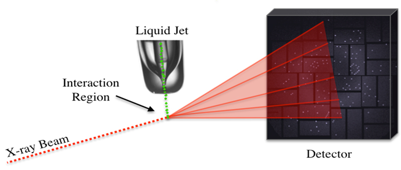 experimental setup