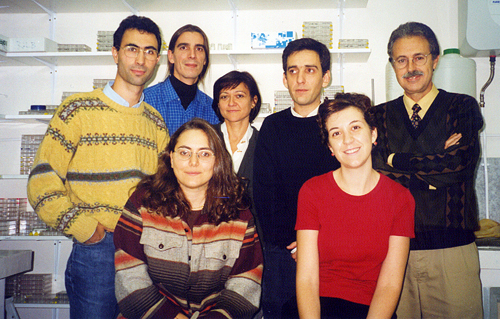 A small group started with protein crystallography